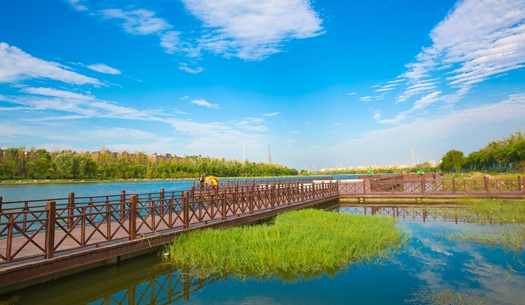 贾鲁河“变形记”| 一条幸福河的焕新重生